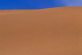 LAN 03 RF0003 01
Imperial Dunes Southeastern California