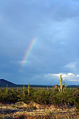 LAN 03 RK0048 01
Arizona Desert