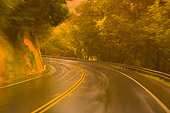 LAN 03 RK0066 01
Wet Road Shot With Trees Napa California