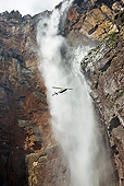 LAN 04 MH0006 01
Helicopter Exploring Angel Falls Venezuela