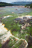 LAN 04 MH0012 01
Green Water Grass Creating Abstract Patterns In Waterfalls South America