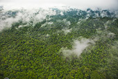 LAN 04 MH0015 01
Aerial View Of Humid Montane Forest On Slopes Of Tepuis