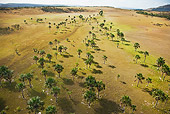 LAN 04 MH0020 01
Aerial View Of Gran Sabana And Tepuis