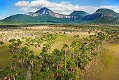 LAN 04 MH0022 01
Aerial View Of Gran Sabana And Tepuis