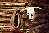 LAN 05 RK0015 01
Cattle Skull Hung On Barn Oregon