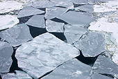 LAN 06 KH0002 01
Cracked Ice In Weddell Sea  In Spring Antarctica