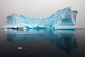 LAN 06 KH0013 01
Blue Iceberg At Point Portal On Antarctic Peninsula - Palmer Archipelago