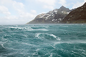 LAN 06 MC0005 01
Stormy Water And Mountains In Antarctic Region, Drysgalski Fjord