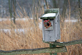 LAN 07 DA0001 01
Bird Nest Box With Holiday Wreath In Winter Illinois