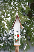 LAN 07 DA0002 01
Bird Nest Box With Holiday Decorations In Winter Illinois