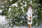 LAN 07 DA0003 01
Bird Nest Box With Holiday Decorations In Winter Illinois