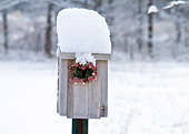 LAN 07 DA0004 01
Birdhouse With Holiday Wreath In Winter Illinois