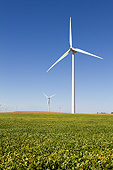 LAN 07 DA0014 01
Windmills In Soybean Field In Tazewell County, Illinois