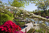 LAN 07 DA0023 01
Walkway In Japanese Gardens In Spring, St. Louis, Missouri