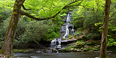 LAN 07 DA0026 01
Panorama Of Tom Branch Falls At Deep Creek In Spring, Great Smoky Mountains National Park, North Carolina