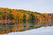 LAN 07 DS0010 01
Fall Foliage At Tamarack Lake In Millbrook, New York