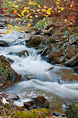 LAN 07 DS0013 01
Fall Foliage At Mountain Stream In Millbrook, New York