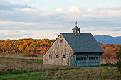 LAN 07 DS0014 01
Barn By Fall Foliage In Millbrook, New York