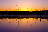 LAN 07 DS0018 01
Bobwhite Quail Hunt Lake At Sunset