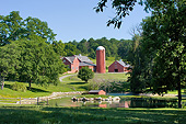 LAN 07 DS0019 01
Red Barns By Pond In Millbrook, New York