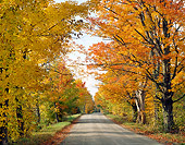 LAN 07 GR0030 01
Country Road And Autumn Maple Trees In Vermont Countryside