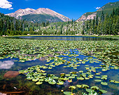 LAN 07 GR0031 01
Cub Lake During Summer In Rocky Mountains National Park, Colorado
