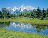 LAN 07 GR0049 01
Pond During Summer In Grand Teton National Park, Wyoming