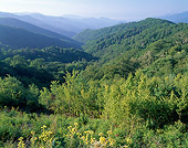 LAN 07 GR0052 01
View From Newfound Gap Road During Summer In Great Smoky Mountains National Park, North Carolina