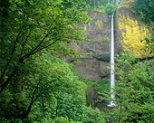 LAN 07 GR0058 01
Latourell Falls During Summer In Columbia River Gorge Scenic Area, Oregon