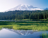 LAN 07 GR0072 01
Mount Rainier Reflected In Lake During Summer Washington