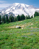 LAN 07 GR0073 01
Mount Rainier National Park, Washington