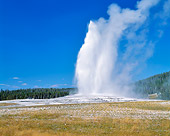 LAN 07 GR0081 01
Old Faithful At Yellowstone National Park, Wyoming