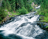 LAN 07 GR0083 01
Paradise River Cascade In Mount Rainier National Park, Washington