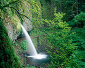 LAN 07 GR0087 01
Ponytail Falls During Spring At Columbia River Gorge National Scenic Area, Oregon