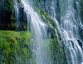 LAN 07 GR0090 01
Proxy Falls During Spring In Three Sisters Wilderness At Willamette National Forest, Oregon