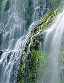 LAN 07 GR0091 01
Proxy Falls At Three Sisters Wilderness In Williamette National Forest, Oregon