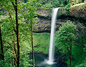 LAN 07 GR0101 01
Silver Falls State Park During Spring South Falls, Oregon