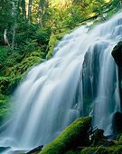 LAN 07 GR0114 01
Upper Proxy Falls During Summer At Three Sisters Wilderness In Willamette National Forest, Oregon