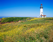 LAN 07 GR0119 01
Yaquina Head Lighthouse During Summer Near Newport, Oregon