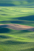 LAN 07 KH0002 01
Crops On Hills In Spring