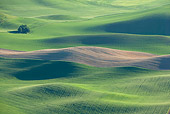 LAN 07 KH0003 01
Crops On Hills In Spring