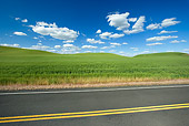 LAN 07 KH0007 01
Crops On Hills And Road In Spring