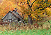 LAN 07 LS0004 01
Old Sugarhouse During Autumn In Tunbridge, Vermont