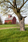 LAN 07 LS0009 01
Red Corn Crib In Mid-May Genoa, Illinois