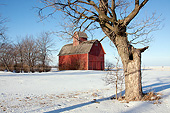 LAN 07 LS0010 01
Red Corn Crib In Snow Genoa, Illinois