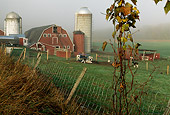 LAN 07 DB0001 01
Vermont Farm With Red Barn Silos Cows Green Fields Fence