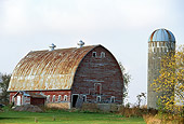 LAN 07 DB0002 01
Old Red Barn With Silo Tree And Clouds