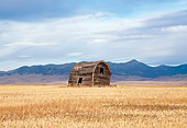 LAN 07 DS0001 01
Old Barn In Field By Mountains