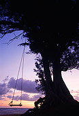 LAN 07 MR0010 01
Swing On Tree At Sunset North Shore Kauai, Hawaii