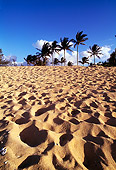 LAN 07 MR0013 01
Palm Trees On Beach North Shore Kauai, Hawaii